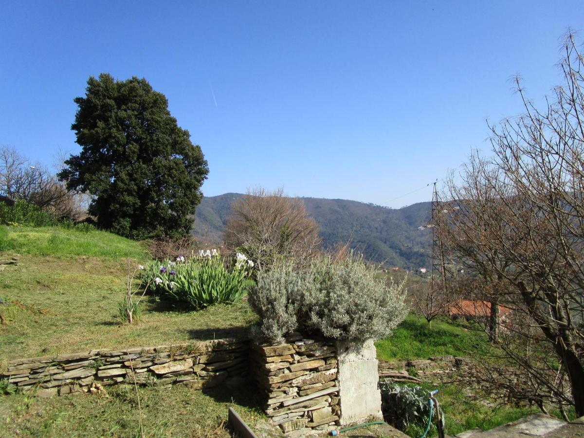 מונליה Cinque Terre & Portofino Lodge-Dependance Bracco מראה חיצוני תמונה